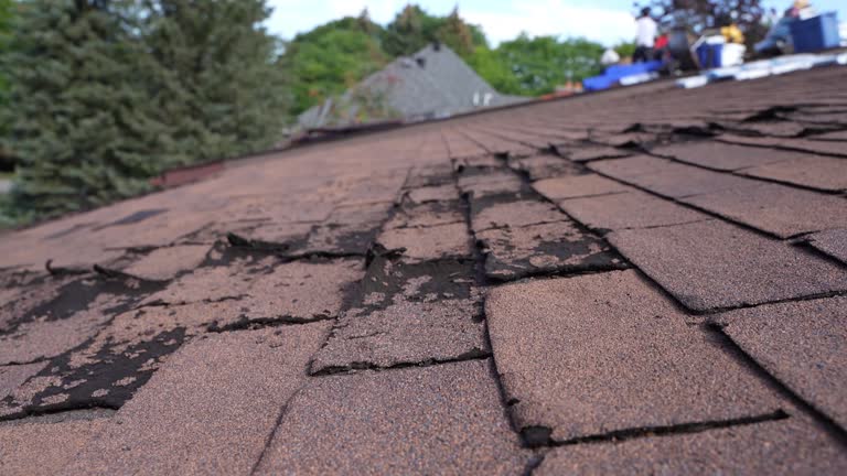Best Slate Roofing  in Mccord, OK